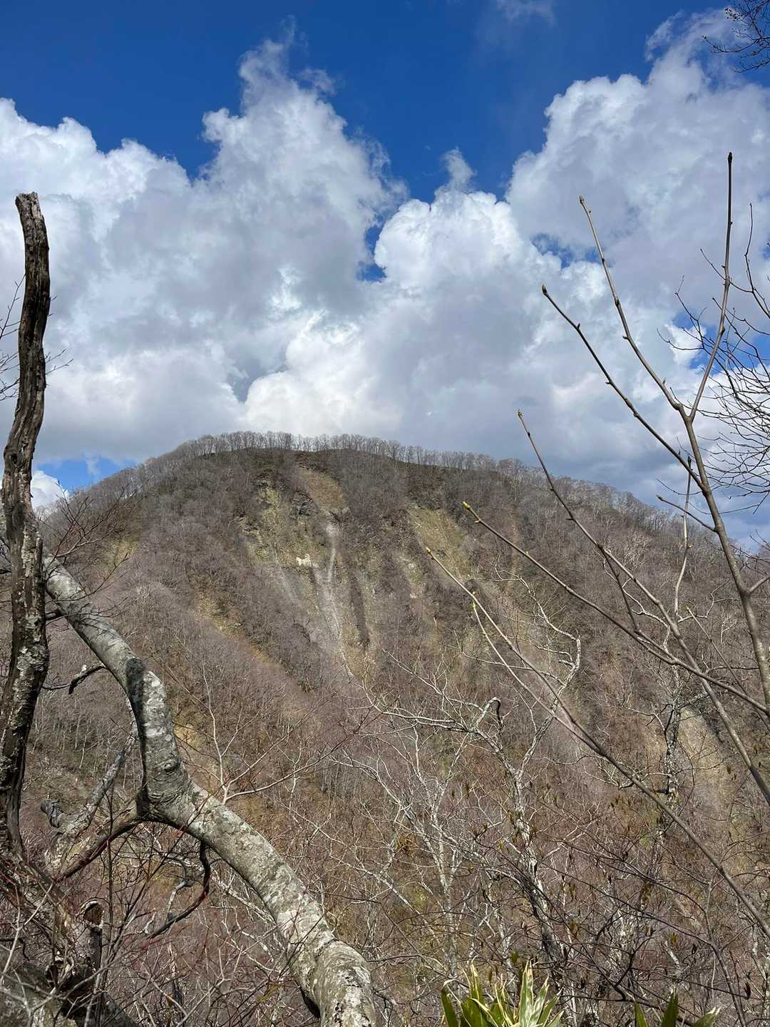 ヤンカ山 周回コースの写真