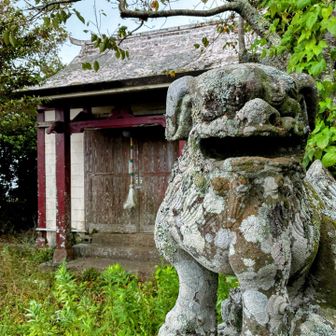 神社と山頂〜お邪魔します🙏
