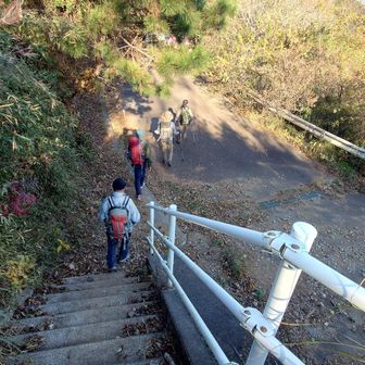 アスファルト道路に出ます
