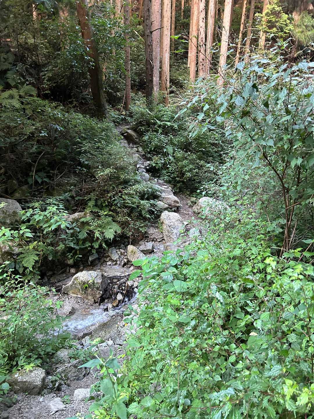 滝に寄らず、左の沢を渡る