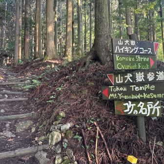 早速分岐があります
苔の名所側から登って下りはハイキングコースにします