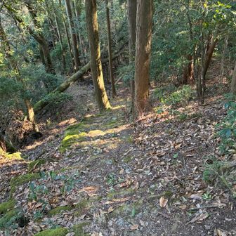 ゲキ下り🏃‍➡️