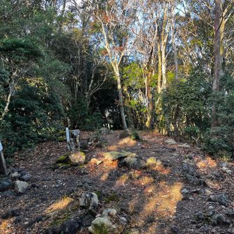 眺めないなぁ、と探しまわると