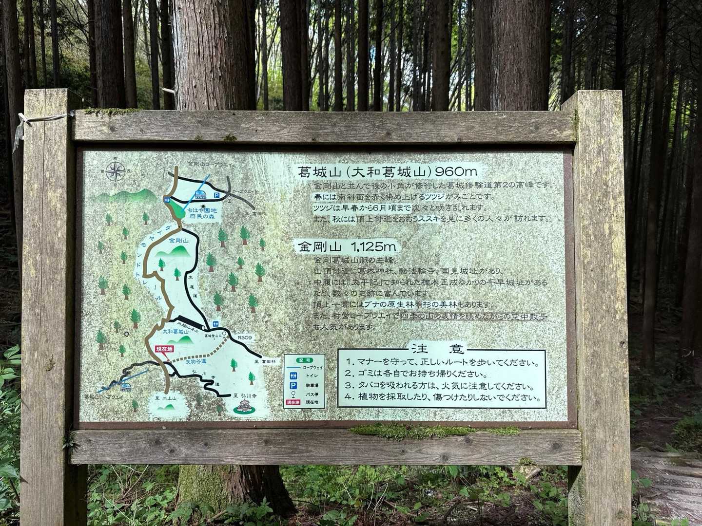 看板のところまできました🎶
あと少しです😊