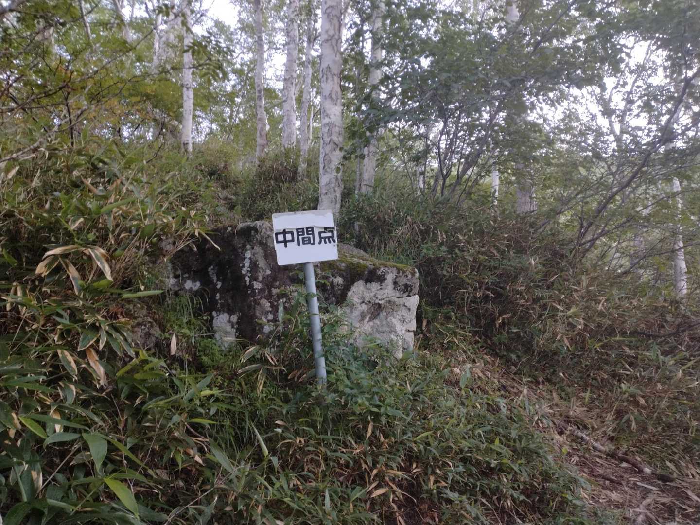 中間点