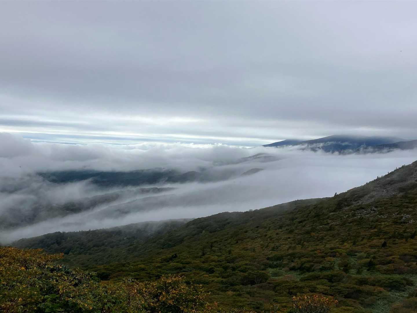 鬼面山の登りから