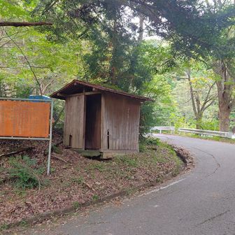 旧トイレ、後の青いトイレが本物