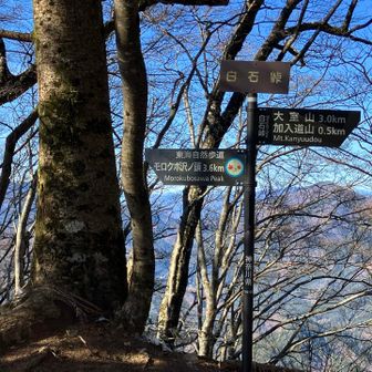 白石峠到着。ここで畦ケ丸まで行こうか悩んだ。まだここで標高1300mもあるし苦労して登ったのに勿体ないよね。しかし下山を決意。また次回は畦ケ丸を楽しみにしよう😊