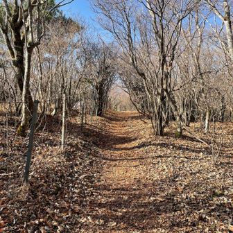 このあたりが大窪山山頂らしいです
標識は見当たりませんでした