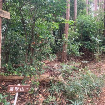途中高取山へ