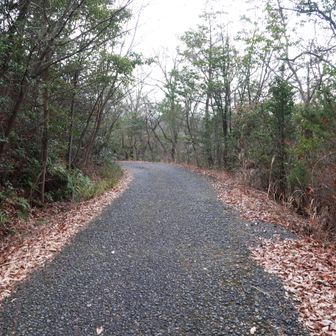 下山します
帰りは舗装路で戻ります