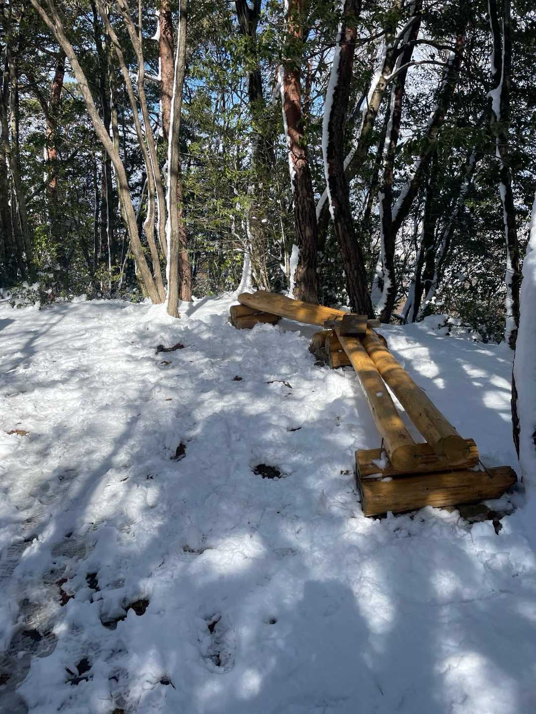 このベンチも雪退けてもらってます！