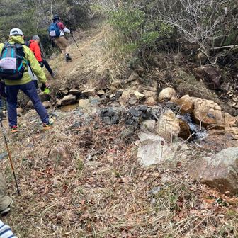 山に入ると1列歩きに
川を渡るなどありました
前の方なのでそこそこのペースで歩いてる
渋滞はこのちょろっとした山道だけで
この山道からロード出たら以降渋滞なく歩けた