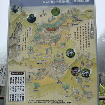 山上に宿坊や店があって独特の雰囲気