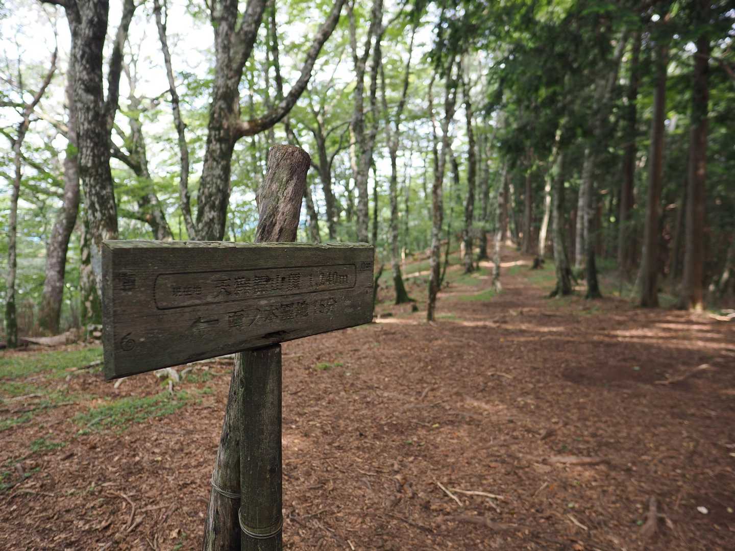 天狗棚山頂