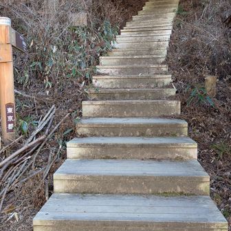 拷問？長い階段地獄の始まり〜😱