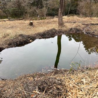 下山したら氷溶けてた