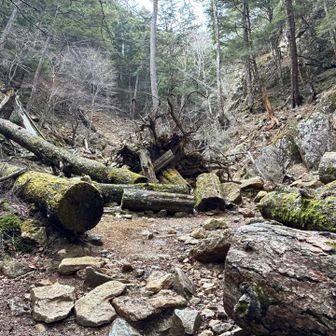 人が切り拓いたんだな、と実感