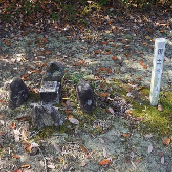 安妃山 山頂・三角点