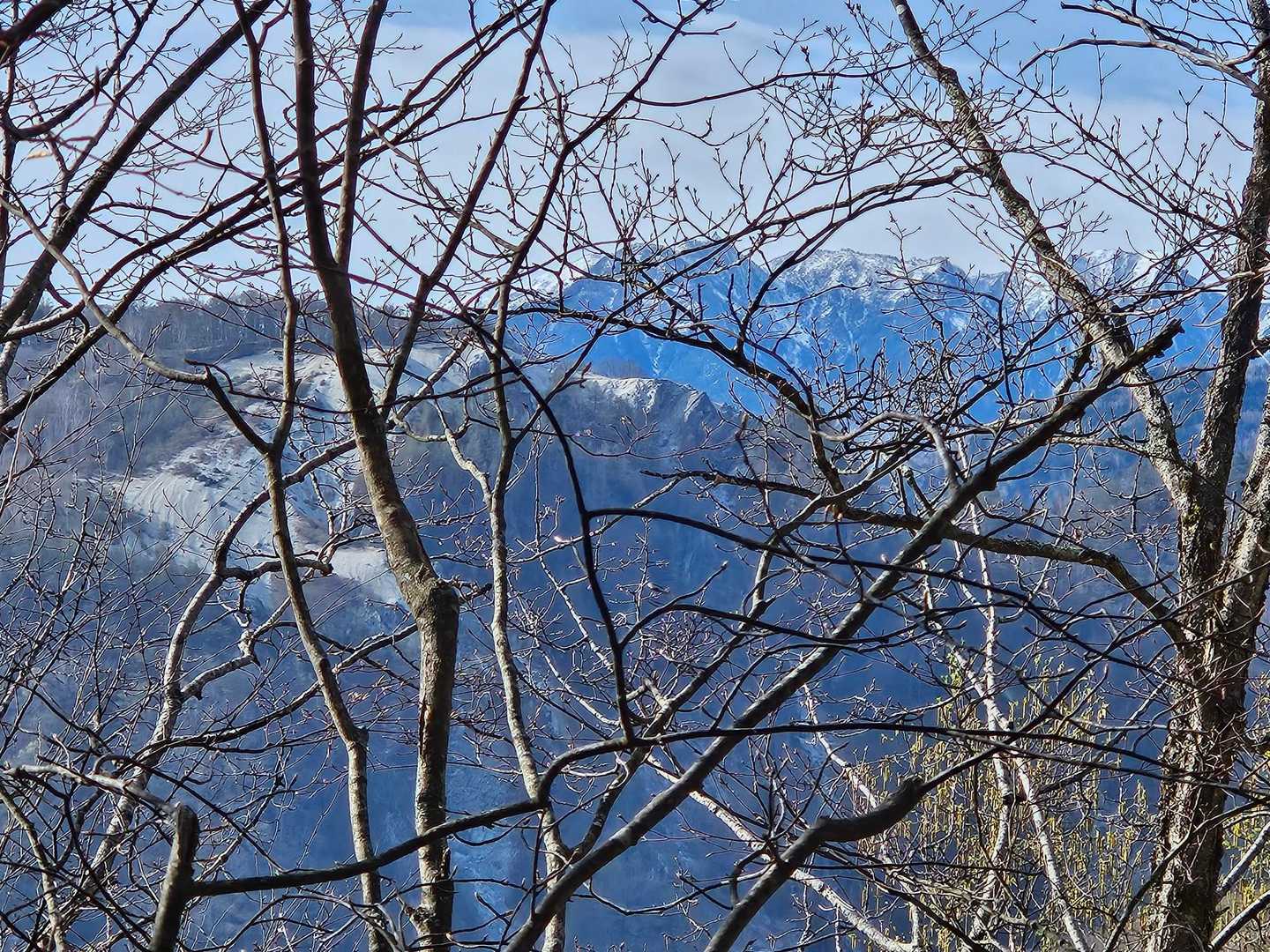 アップで日向山を撮影📸

奥に見えるのは鳳凰三山かな👀