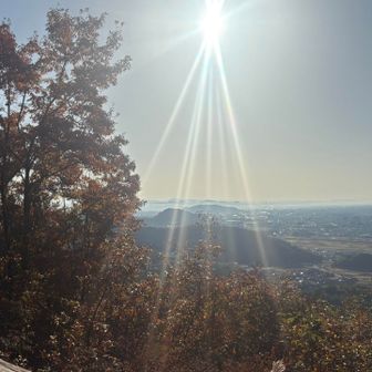 朝日が眩しい〜