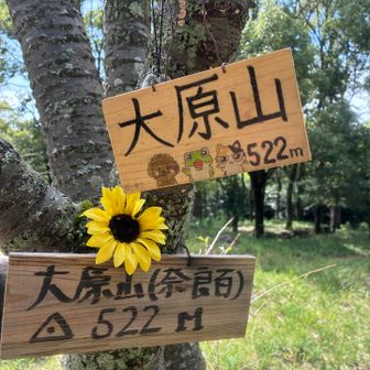 大原山。
攣りながら来る必要があったのか？っと思ってしまいました💦