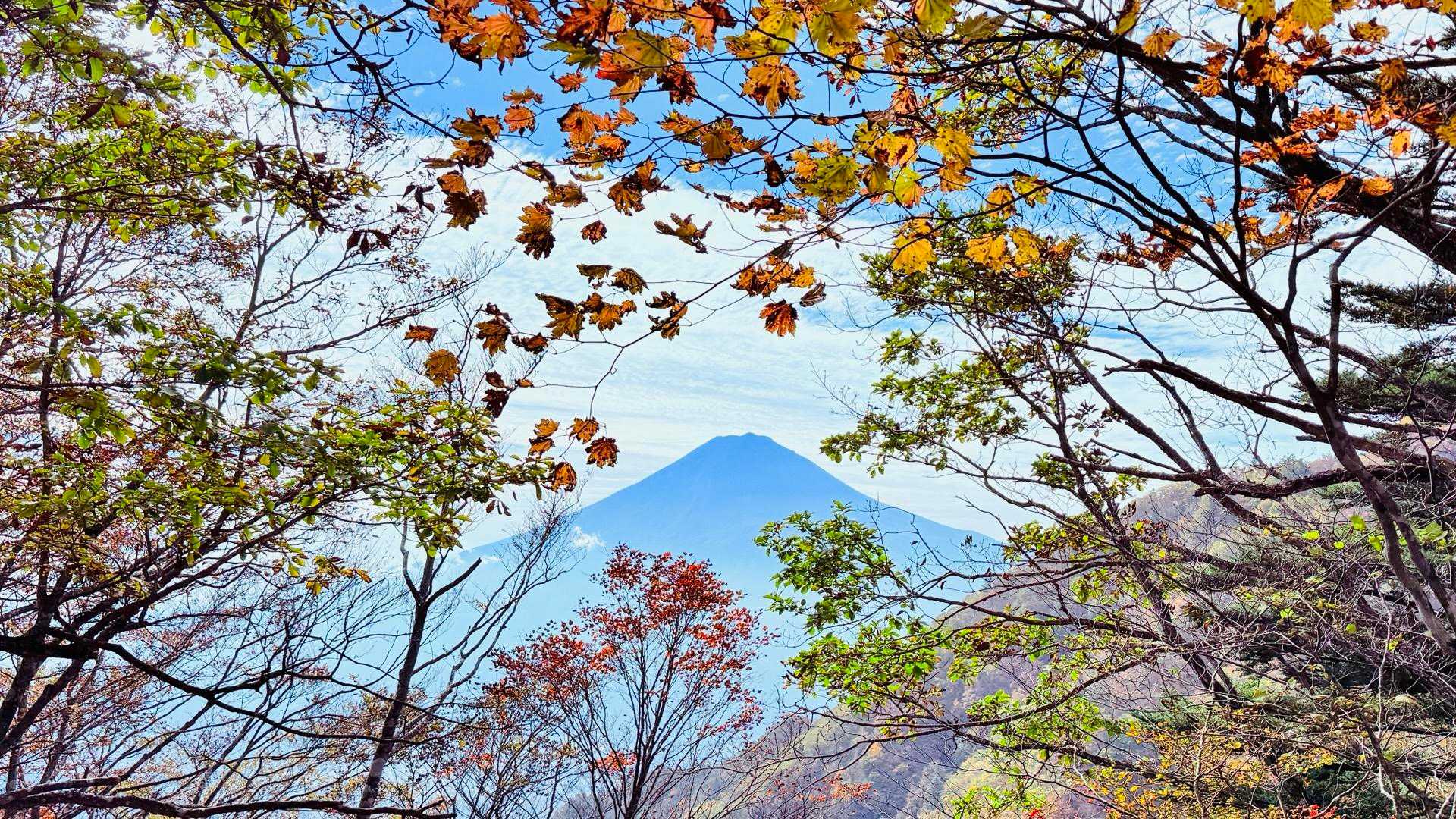 三ツ峠入口-旧御坂峠-コブ岩ノ頭-黒岳-すずらん峠-破風山 縦走コースの写真