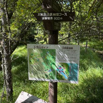 テイ沢への分かれ道。母は高見岩まで行ってそのままヒュッテ戻るつもりだったらしい。途中まで行ってみることに