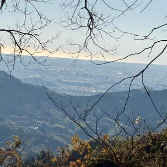 眺望はこんな感じ