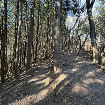 ここ、右だと変な直登があるそう…
疲れているなら左の道で巻けます。