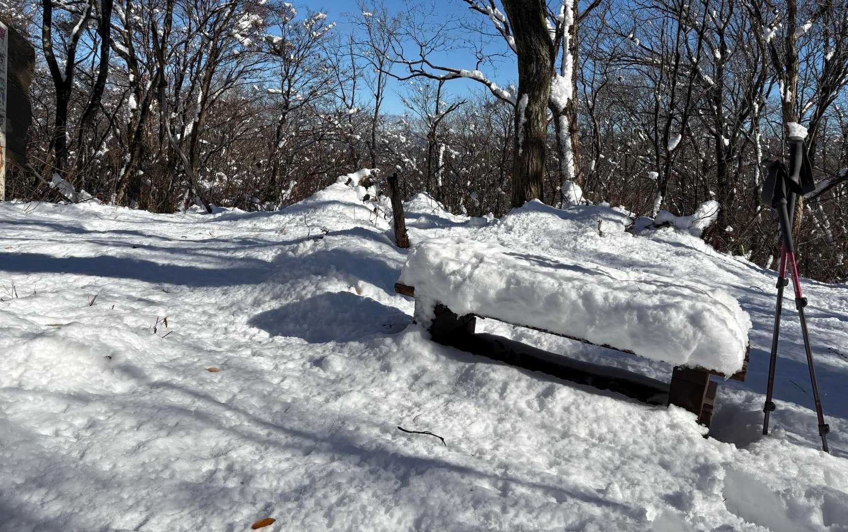 ベンチの雪❄️30センチは　あるじゃん！