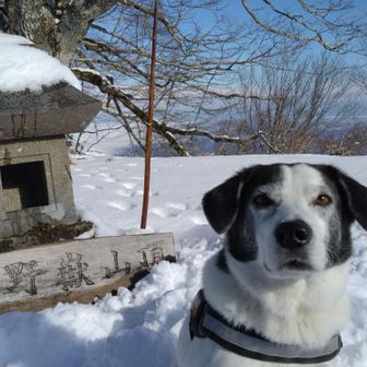小野岳山頂〜👍