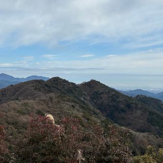 歩いて来た高畑山東峰・高畑山・高畑山西峰