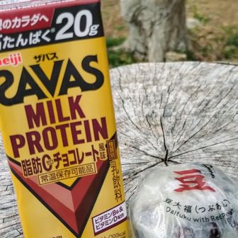 あまりにも景色が良かったのでここでひと休み☕
ウグイスがあちこちで奏でる唄を聴きながら大福モグモグ