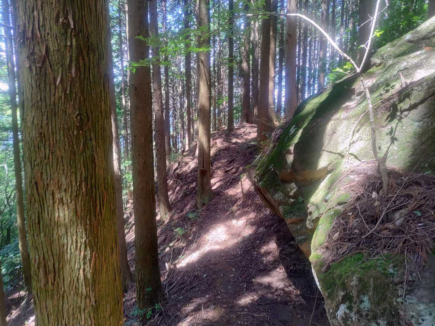 五輪塔は分岐からすぐ✌