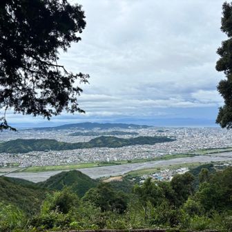 静岡市内一望