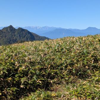 前山手前からの北アルプス白馬岳の眺望