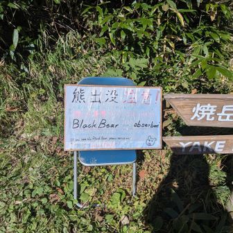 小屋の近くで熊が出たそう