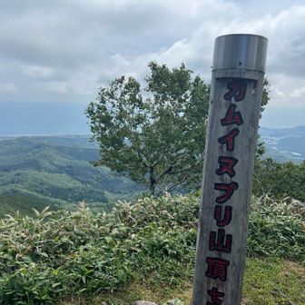 登頂‼️
