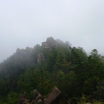 この辺で引き返します。
