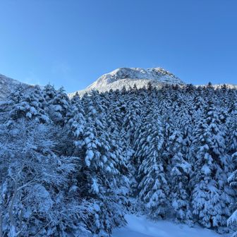 見えてきました　赤岳