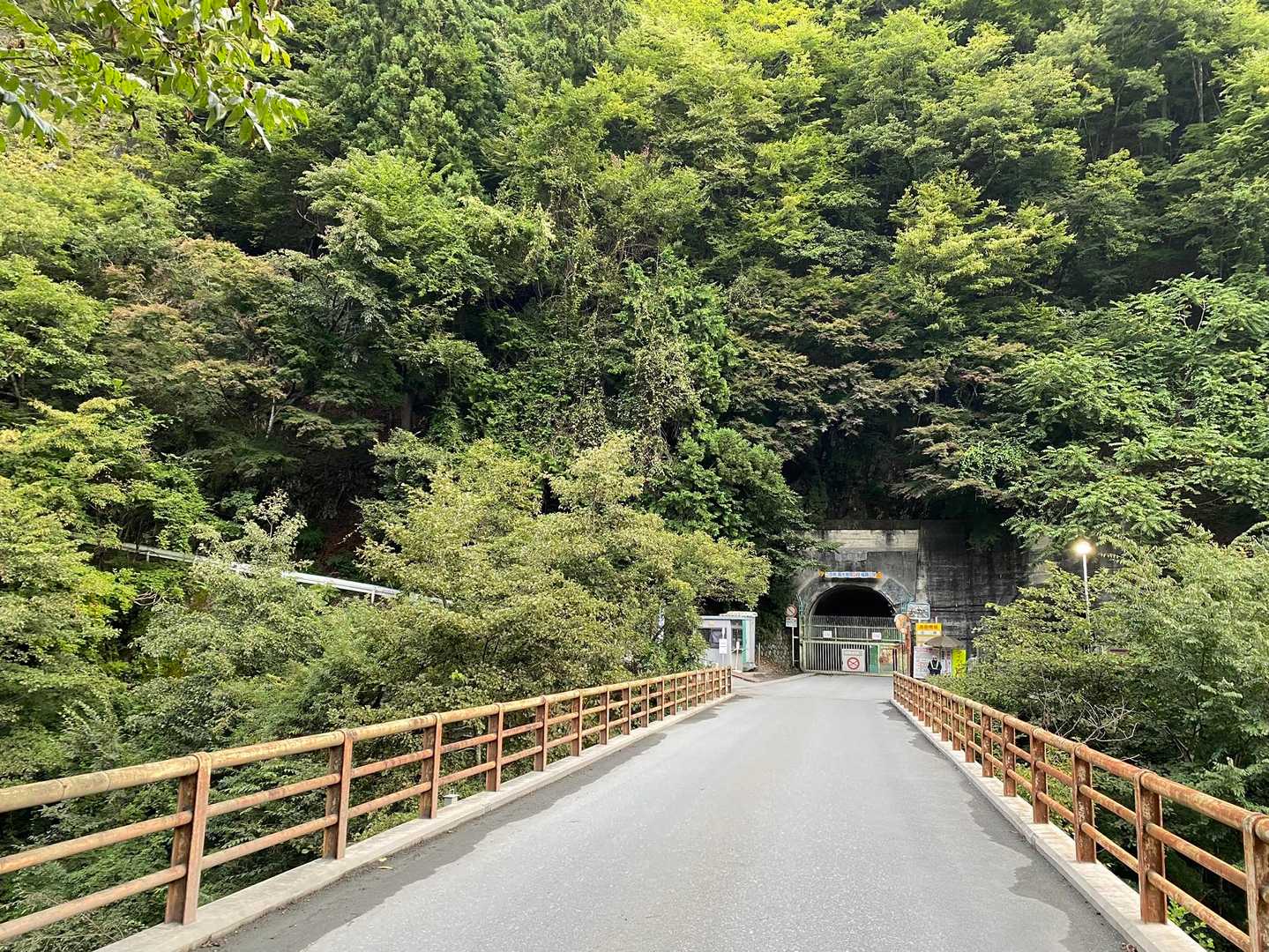自転車🚲持ってくれば良かった💦