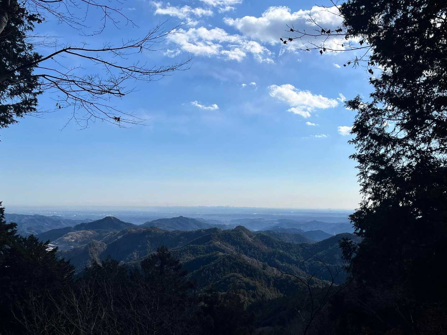 今日もスカイツリーが見えます

こんな写真でも
私には何とかスカイツリーが見えるもんです