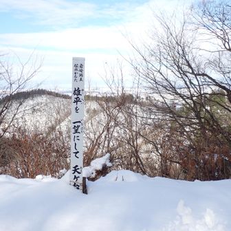 向こうに見えるピークまで歩きます。今度は眺望が期待できます。