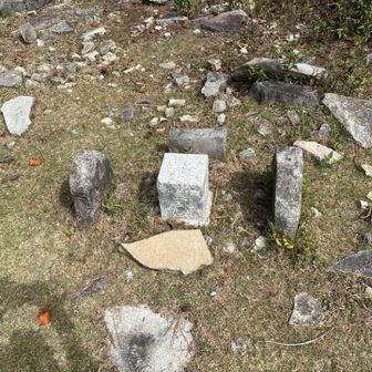 星ヶ城山の三角点