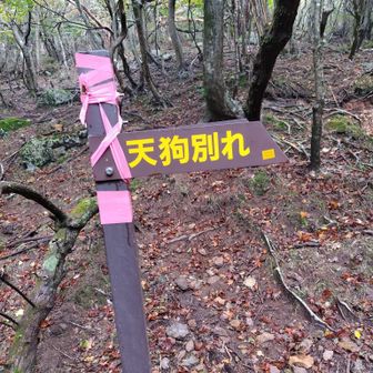 天狗へはここから右手へ