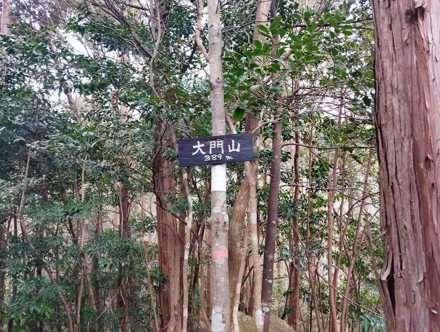 グレーピークの大門山に寄り道。
頂上到着。

大門山の登り下りが刺激的で楽しかった！