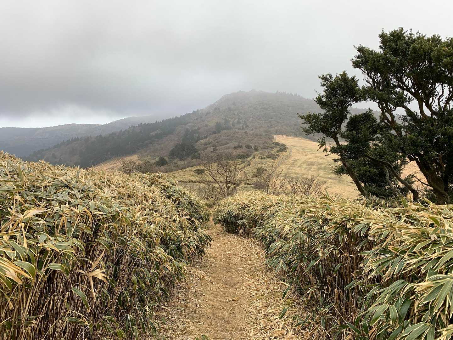 仁科峠にて