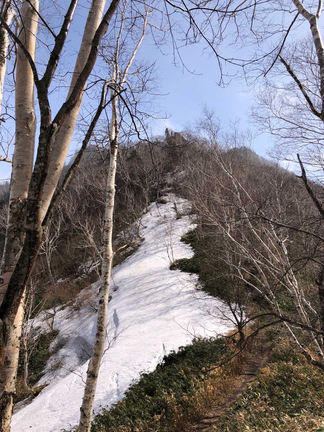 結構急登。^ ^