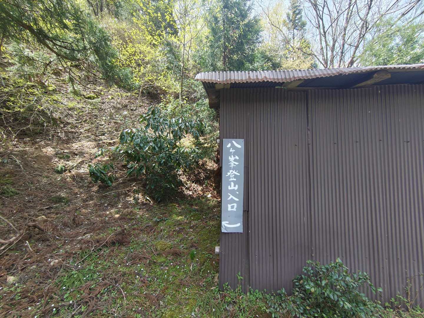 ここから。